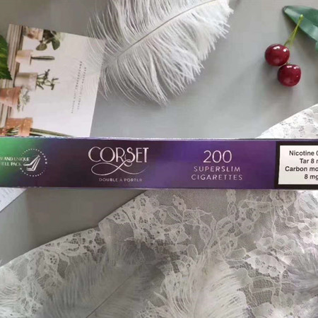 CORSET紫罗兰蓝莓多少钱？在哪买？